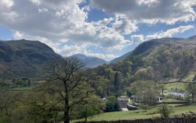 A wander round the back
